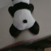 剑辉cp