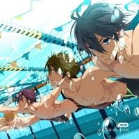 free男子游泳部