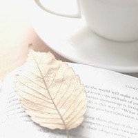 高冷女神和高冷校草