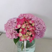米湯母女文老湯首長(zhǎng)