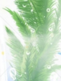 外表高冷內(nèi)心活動(dòng)豐富