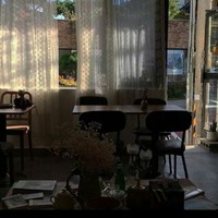 只有校园没有言情