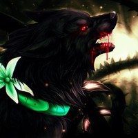 狼王梦前传