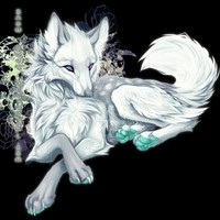 秋月狼王出品