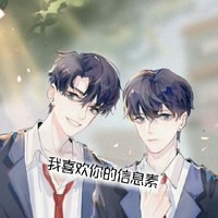 路星辞段嘉衍