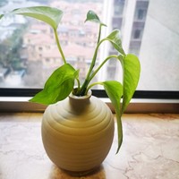 平时周末三更