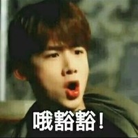 可能沒有戀愛部分