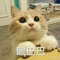 世界觀沒變