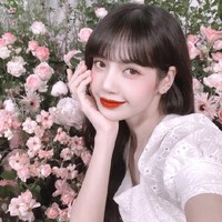 文献鹿什辰