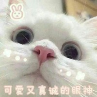 随便嗑