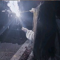 陈欣妍和江枫