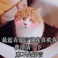 言情快穿