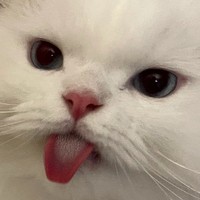 男女主身心双洁