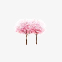 画霸