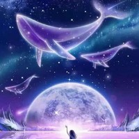 治愈系小故事