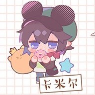 卡米尔X你