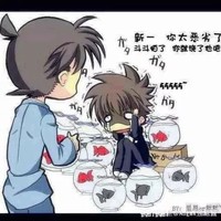 不是官配啊啊啊啊啊