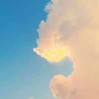 小呦邀請(qǐng)駐站