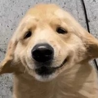 日更千字一章