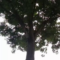 成功与失败