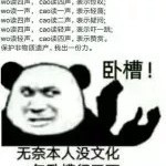 你牛逼的不得了