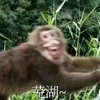 为钱而战