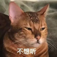 溫子橙