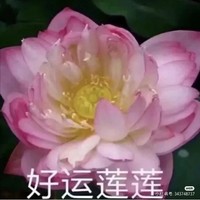 天馬星系