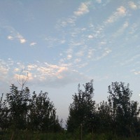 不符合原著