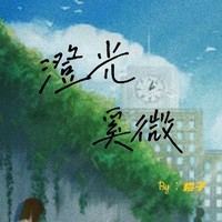 澄光奚微
