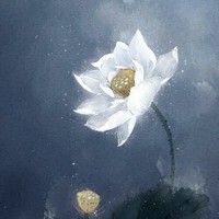 南冥有花