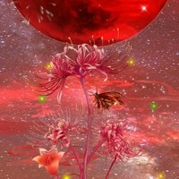 我只是想当个凡人