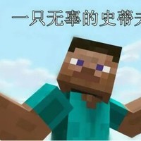 抢史蒂夫