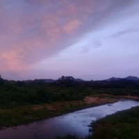 废土都市