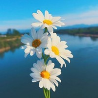 相信自己相信希望