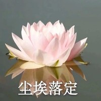 别卡我审核
