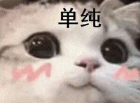 软萌且沙雕女主