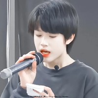 TF家族三代張極