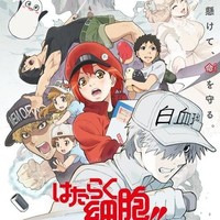 工作细胞同人文