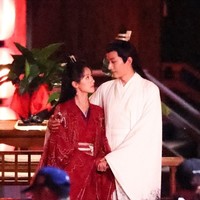 惊鸿夫妇