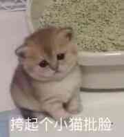 爷不写了