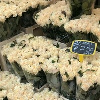 在书里和他们很久很久