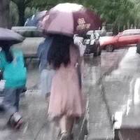 花姐同人文