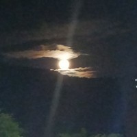 抵抗世俗