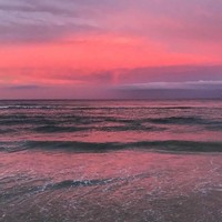 單純無害的海王女主