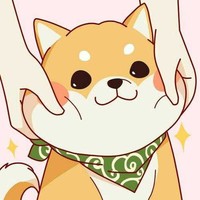 讲的是他们初中生活