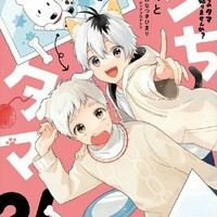 猫咪与狗狗