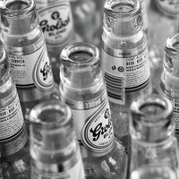 没有生命的迹象