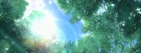 男主会反复重生去世