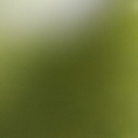 迷点重重